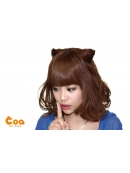 Hair Salon Coaのヘアカタログ画像