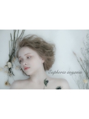 Euphoria【ユーフォリア】aoyamaのヘアカタログ画像